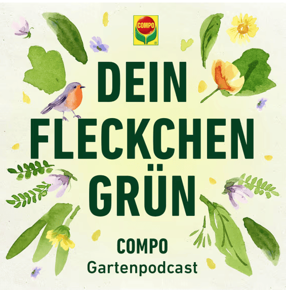 case_Compo-Podcast Gewinnspiel 